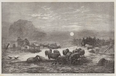 Invierno, Alimentación de Ovejas, de la Exposición de la Sociedad de Pintores en Acuarela